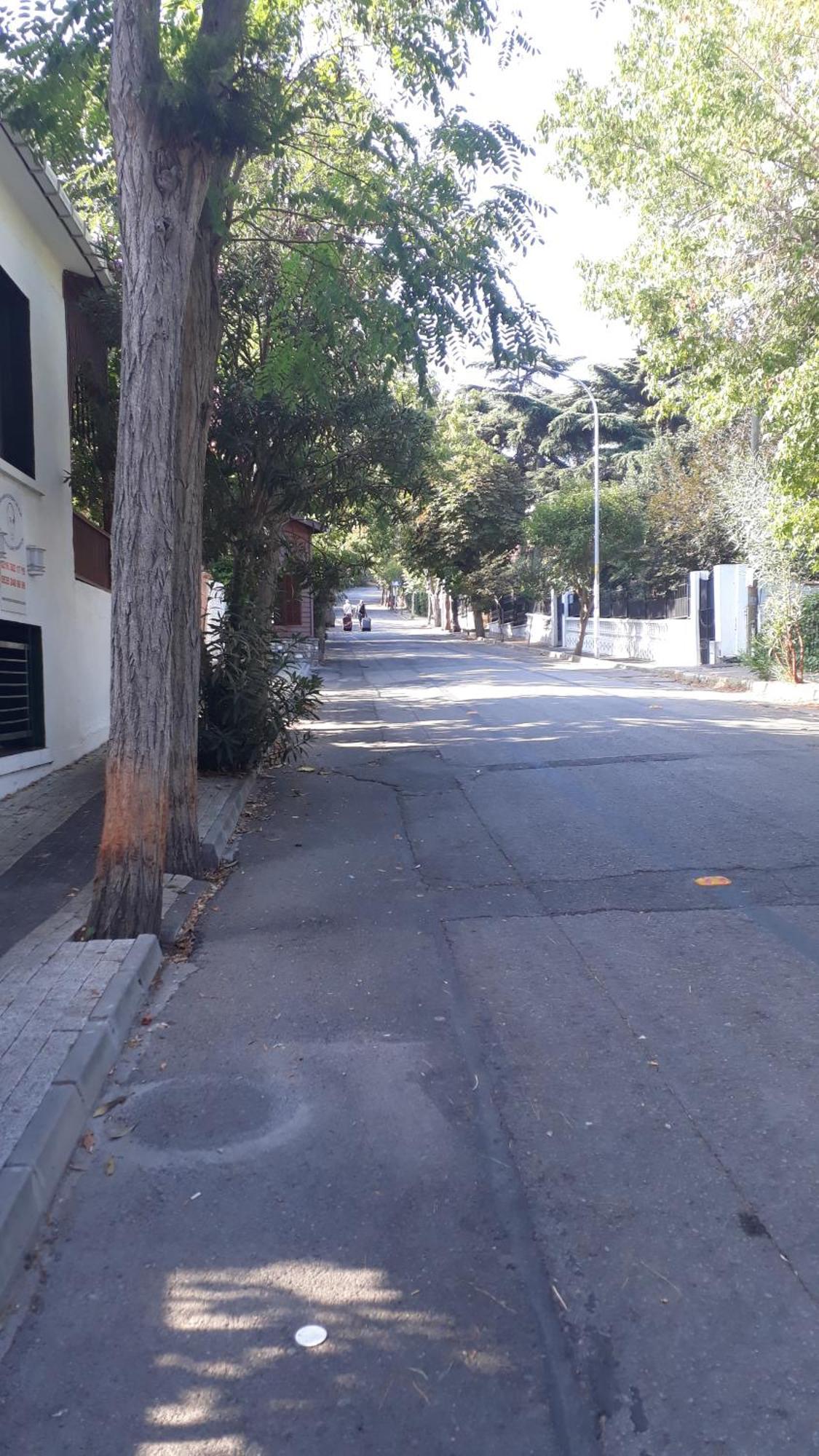 Orhan Kutbayin Evi 王子岛群 客房 照片