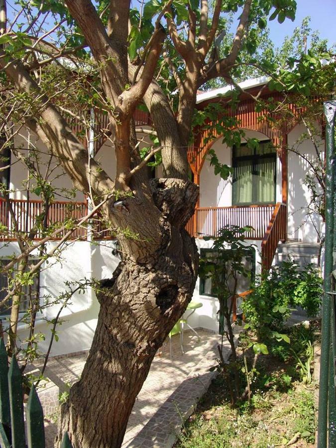 Orhan Kutbayin Evi 王子岛群 外观 照片